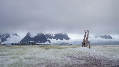 The Antarctic Biennale Documentary